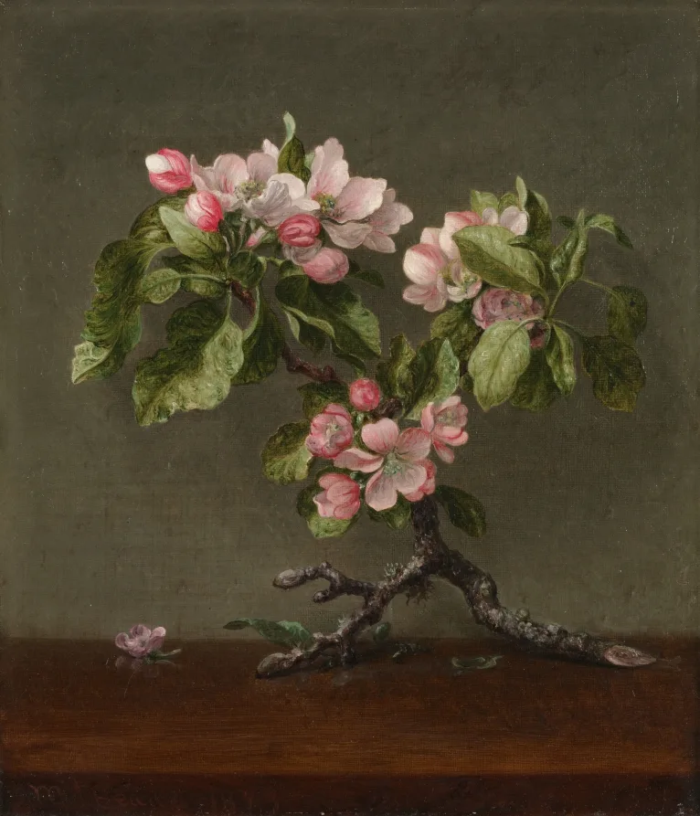Martin Johnson Heade, Apple Blossoms, 1873, oil on canvas. Cleveland Museum of Art. American taste before the French pictures arrived ran to careful description of the kind Heade practised.