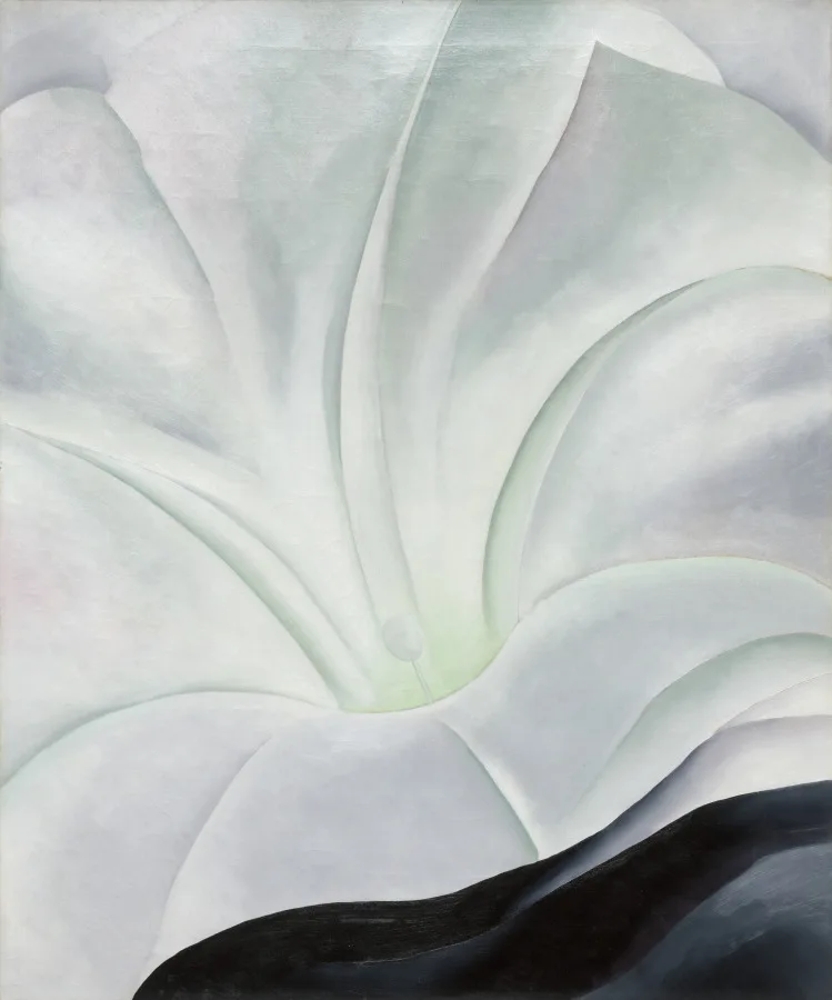 Georgia O'Keeffe, Morning Glory with Black, 1926, oil on canvas. Cleveland Museum of Art. Abstraction that keeps one foot in an observed subject, a pattern common across the regional schools.